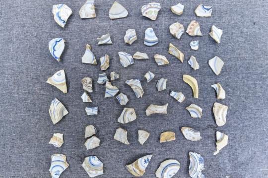 在大洲湾遗址发现的瓷器碎片
