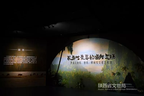 图片版权归原作者所有 图片版权归原作者所有