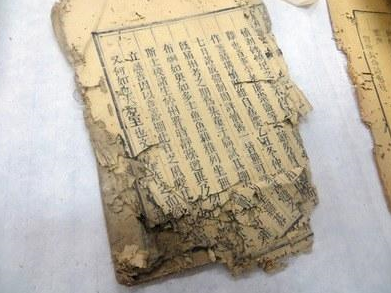 图片版权归原作者所有 图片版权归原作者所有