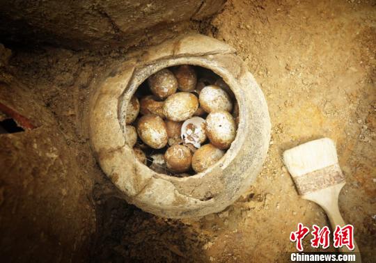 A pot of eggs was found in a tomb in Shangyang Village, Liyang, Jiangsu province on March 24, 2019.  (Photo by Shi Jun)