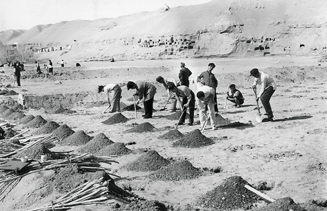 1950年代,敦煌文物研究所职工在莫高窟植树造林1.jpg