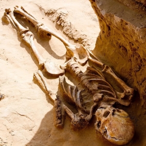 Large Mound in Russia Reveals 2,500-Year-Old Skeletons of Elite Nomadic Tribesmen...And a Horse Head