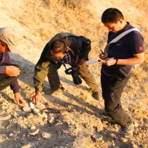 陕西省与吉尔吉斯斯坦联合考古发掘取得重要阶段性成果