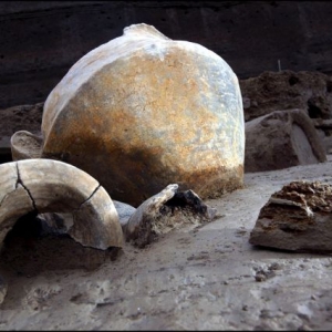 Inscription Reveals Final Years of Life in Pompeii Before the City Was Buried in Ash