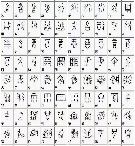 无数前人志士在甲骨文释读这条路上洒下汗水,播下希望的种子,一步