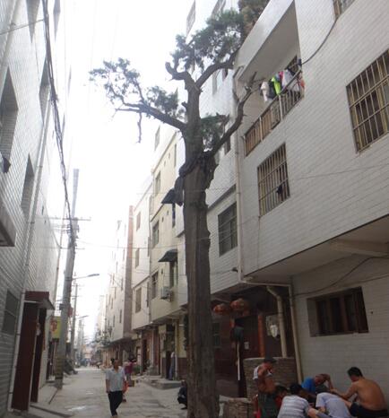 陕西杜城地名初探