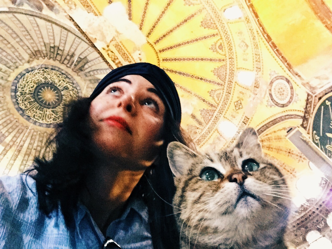 圣索菲亚博物馆的“明星猫”Gli，和与它争相合影的游客们