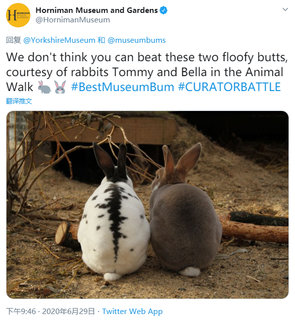 英国霍尼曼博物馆 两只兔子的屁屁
