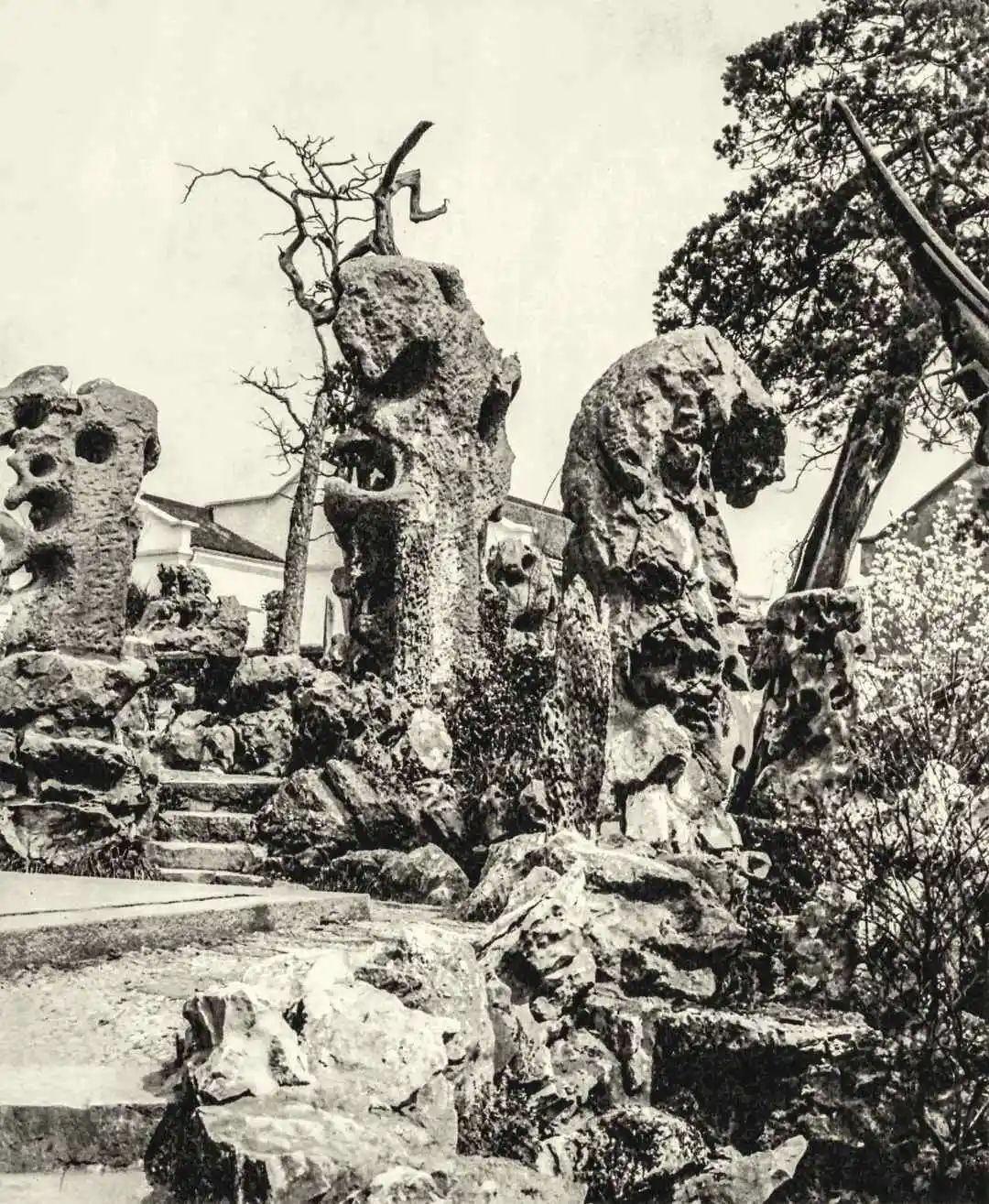（狮子林）如同坐狮状的巨石。摄于1918年，当时园林正在改造。