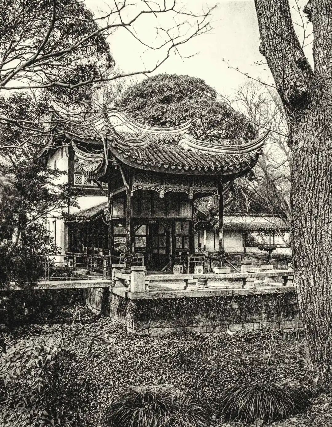 (拙政园)干涸的水塘旁边的亭台。