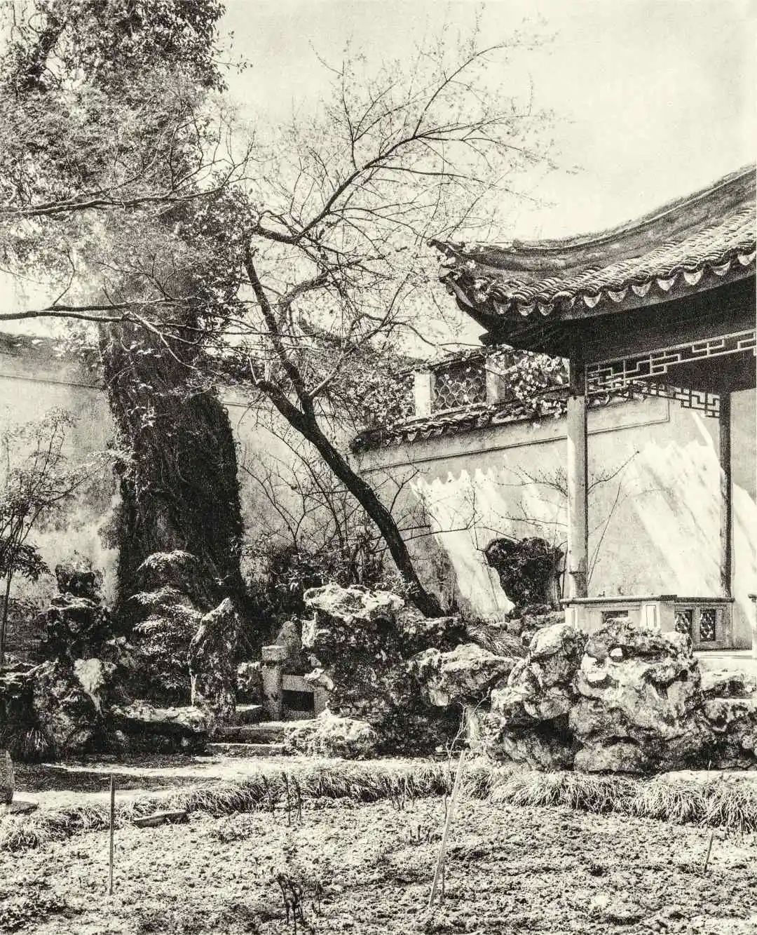 (网师园)殿春簃的最深处后院一角。