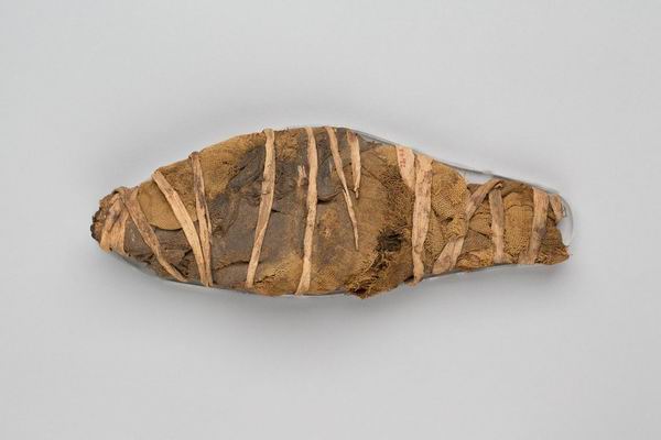 鱼木乃伊（公元前664年-公元前30年），纽约大都会博物馆藏。