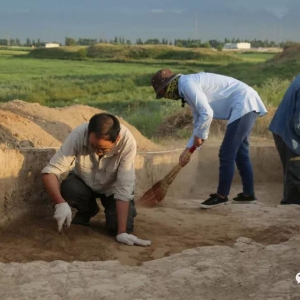 陕西与吉尔吉斯斯坦联合考古工作取得重要成果