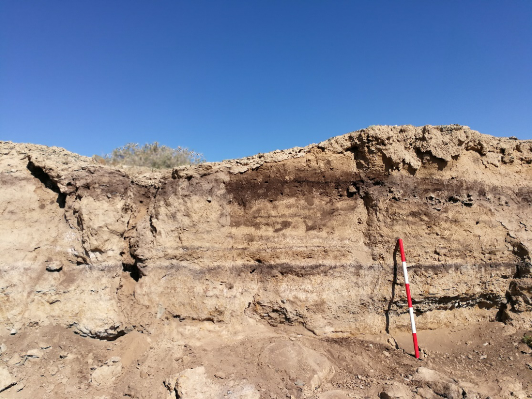 乔夏克拜遗址的剖面