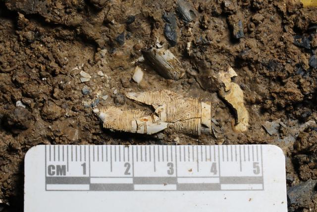 五号坑发现的象牙雕刻残片。四川省文物考古研究院供图
