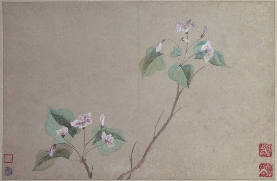 《花卉图》册之海棠,明,文俶绘,纸本,设色,每开纵27.8厘米,横42.8厘米。