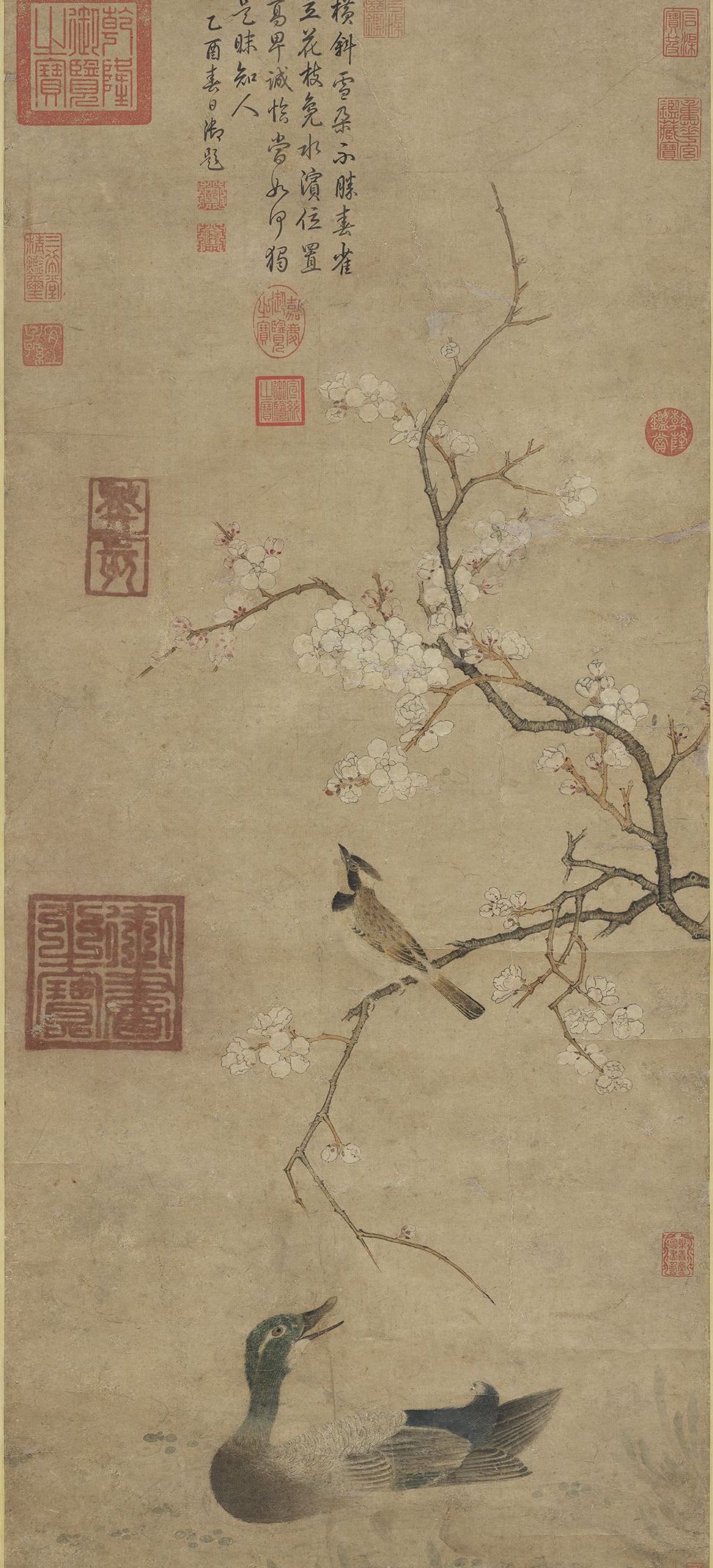 传宋徽宗《梨花》轴 台北故宫博物院藏