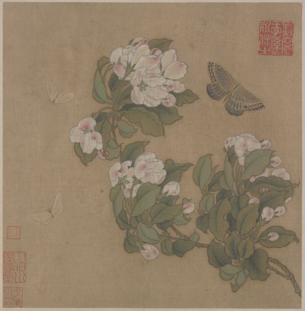 《海棠蛱蝶图》页,宋,绢本,设色,纵25厘米,横24.5厘米。