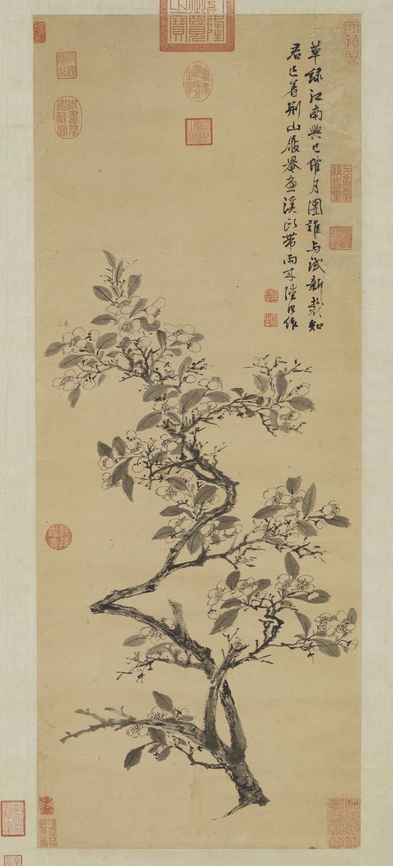 明 陆治 《梨花写生》轴 台北故宫博物院藏