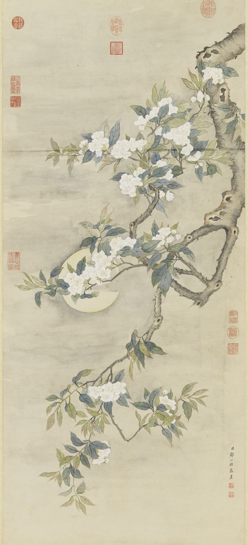 清 邹一桂 《画梨花夜月》轴 台北故宫博物院藏
