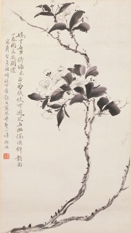 《梨花图》轴,近现代,陈师曾绘,纸本,墨笔,纵56.8厘米,横31.4厘米。