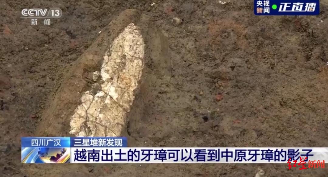 8号坑考古。