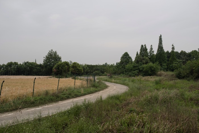 三星堆遗址保护区，2018年。本文处注明外均为 丁海笑 图