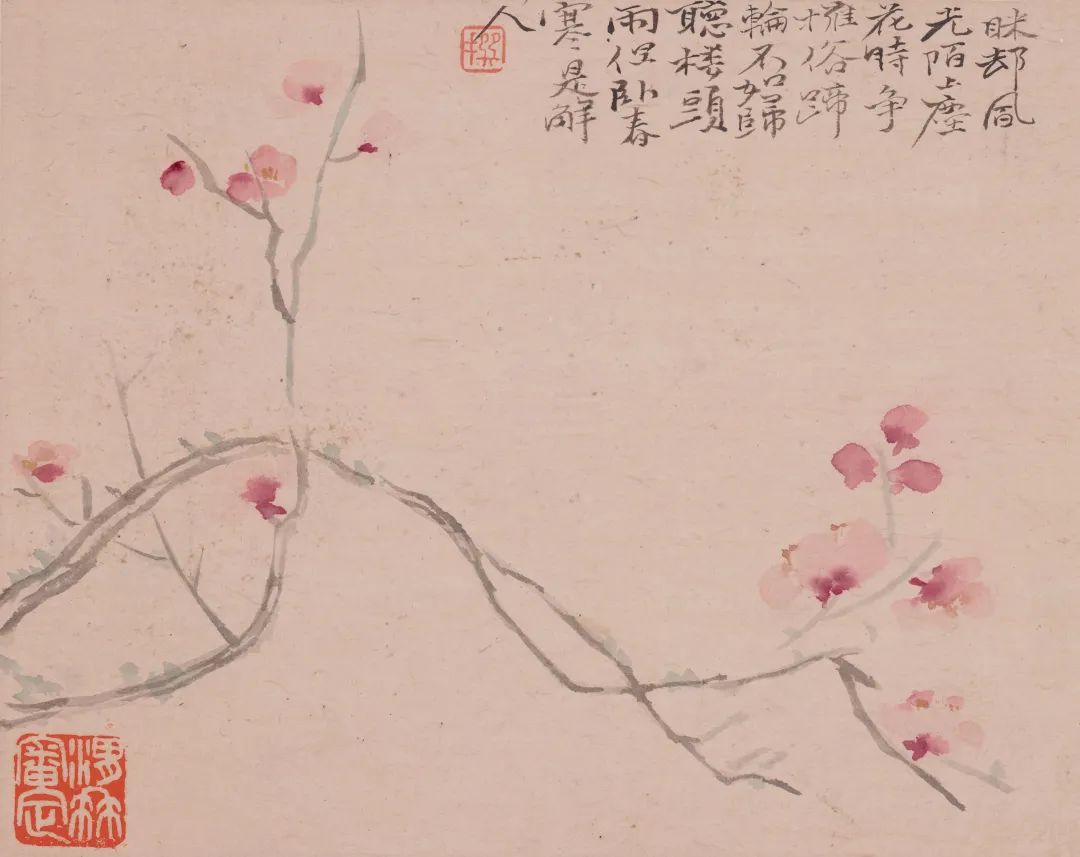 清·陈撰《花卉图册》 广州艺术博物院藏