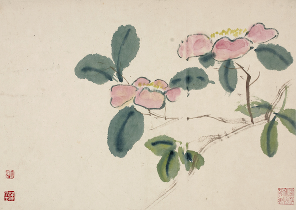 黄宾虹 设色花卉册(选页)