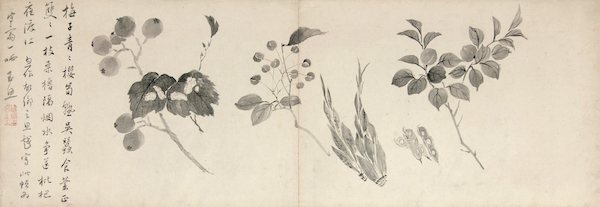 钱东 墨笔花卉册(选页)