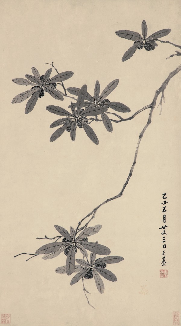 王綦 墨笔杨梅轴