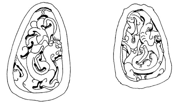图2 耳环玉佩上的纹饰