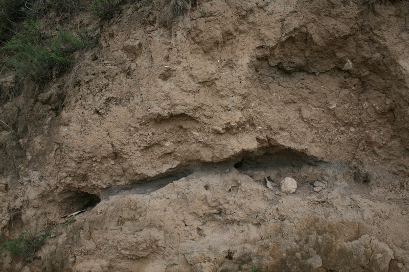 0942T00006-00018圆嘴山遗址灰层照.jpg
