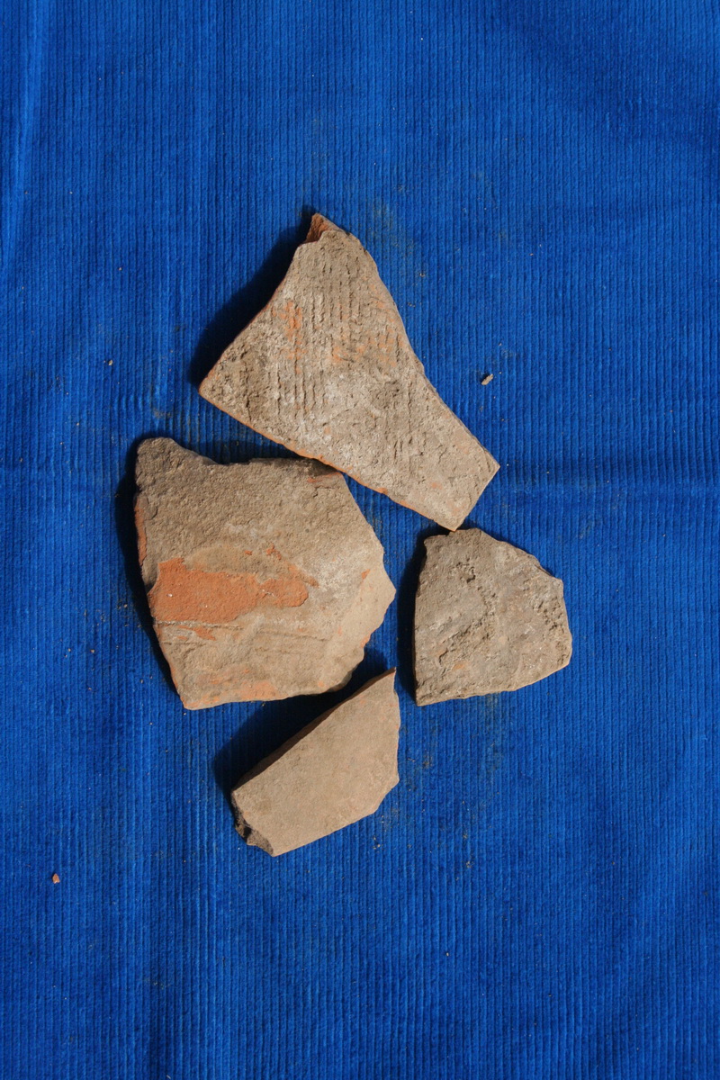 1051T00006-00015干沟桥遗址采集标本.jpg