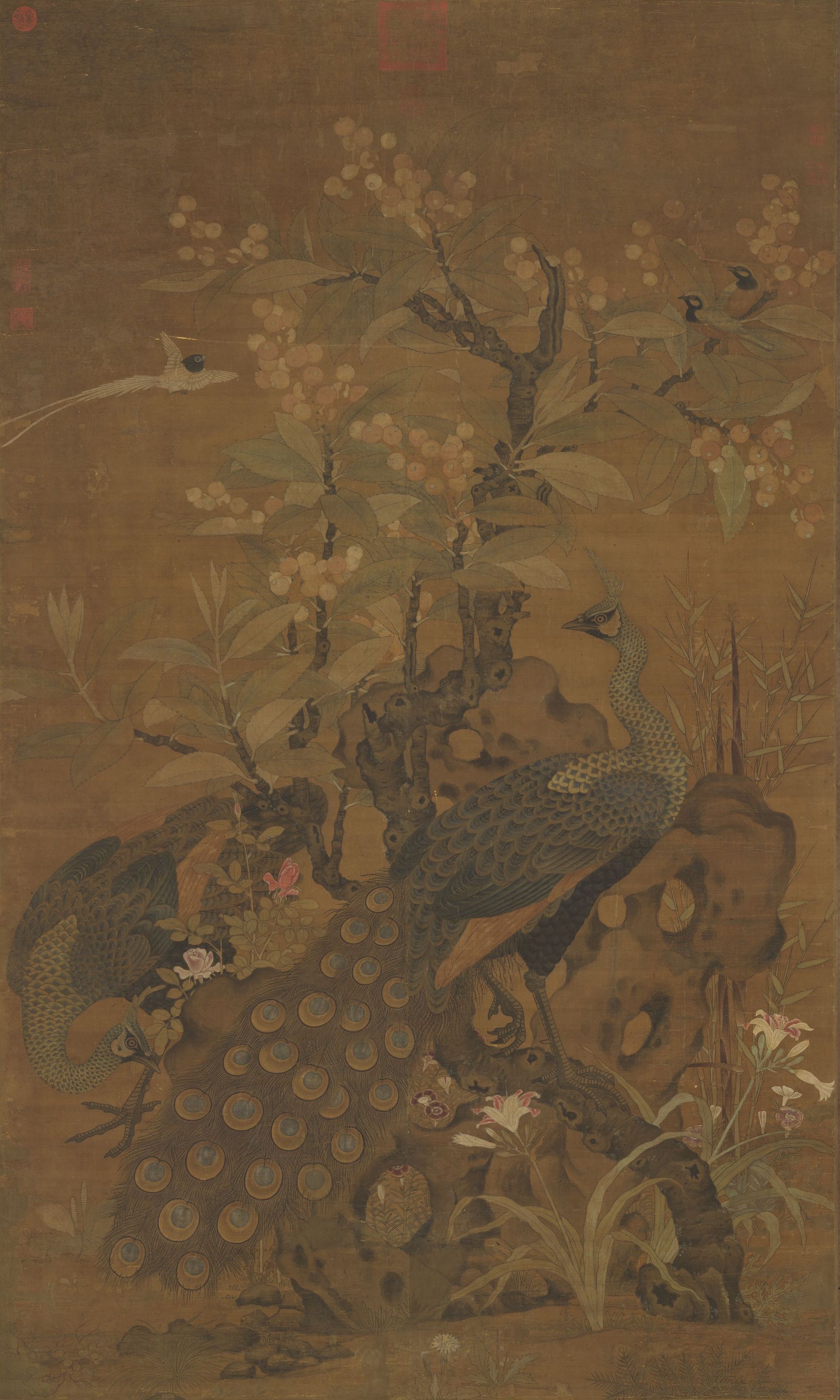 宋 崔白 《画枇杷孔雀》轴 台北故宫博物院藏