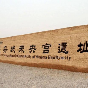 西安市市长调研汉长安城未央宫遗址公园建设和污泥处置工作
