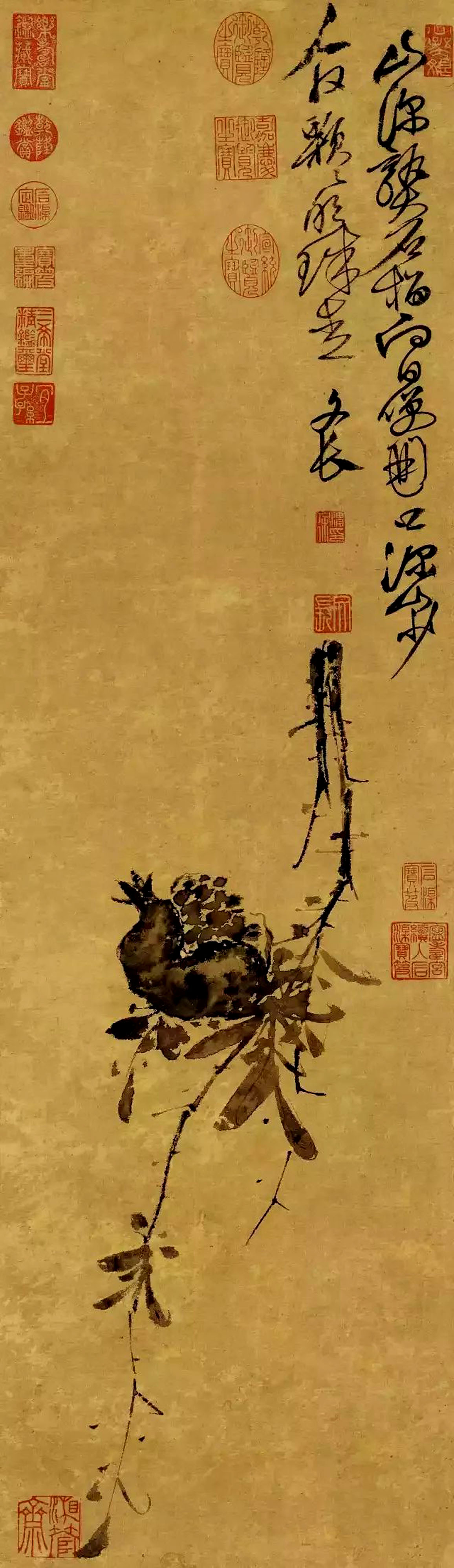 明 徐渭 《榴实图》