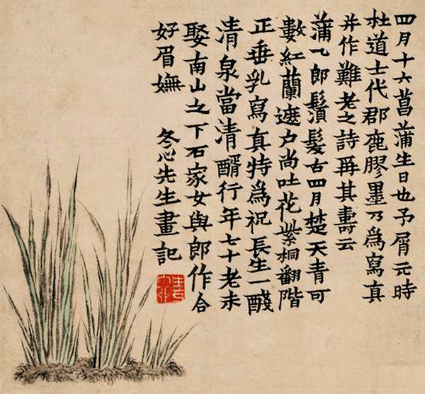 清 金农《菖蒲图》