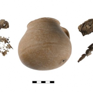 'Magic' jar holding dismembered chicken used as a curse in ancient Athens
