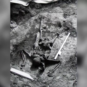 Roman-era skeleton found near Mount Vesuvius may be from famous rescue mission