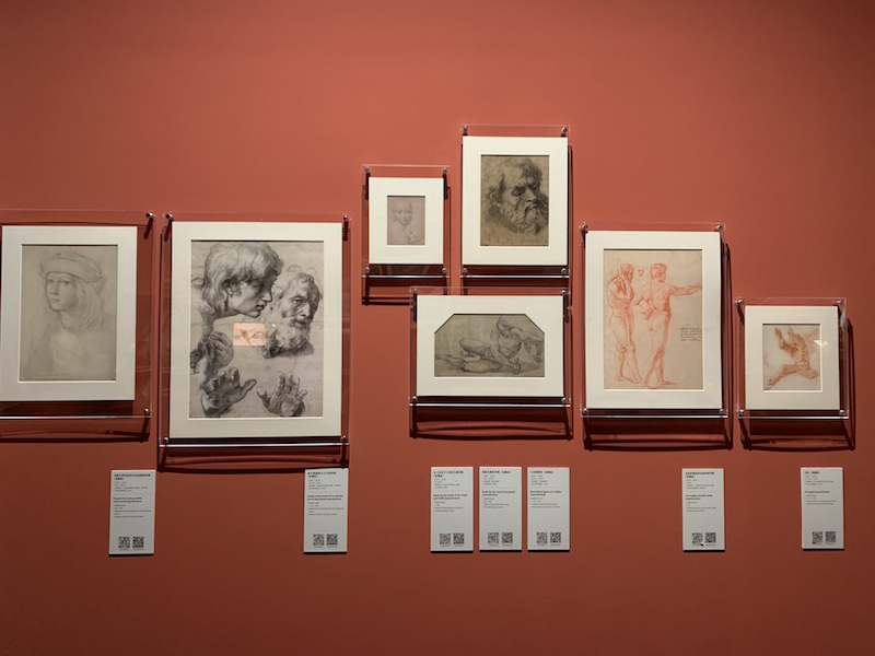 拉斐尔素描作品组合(复制品)