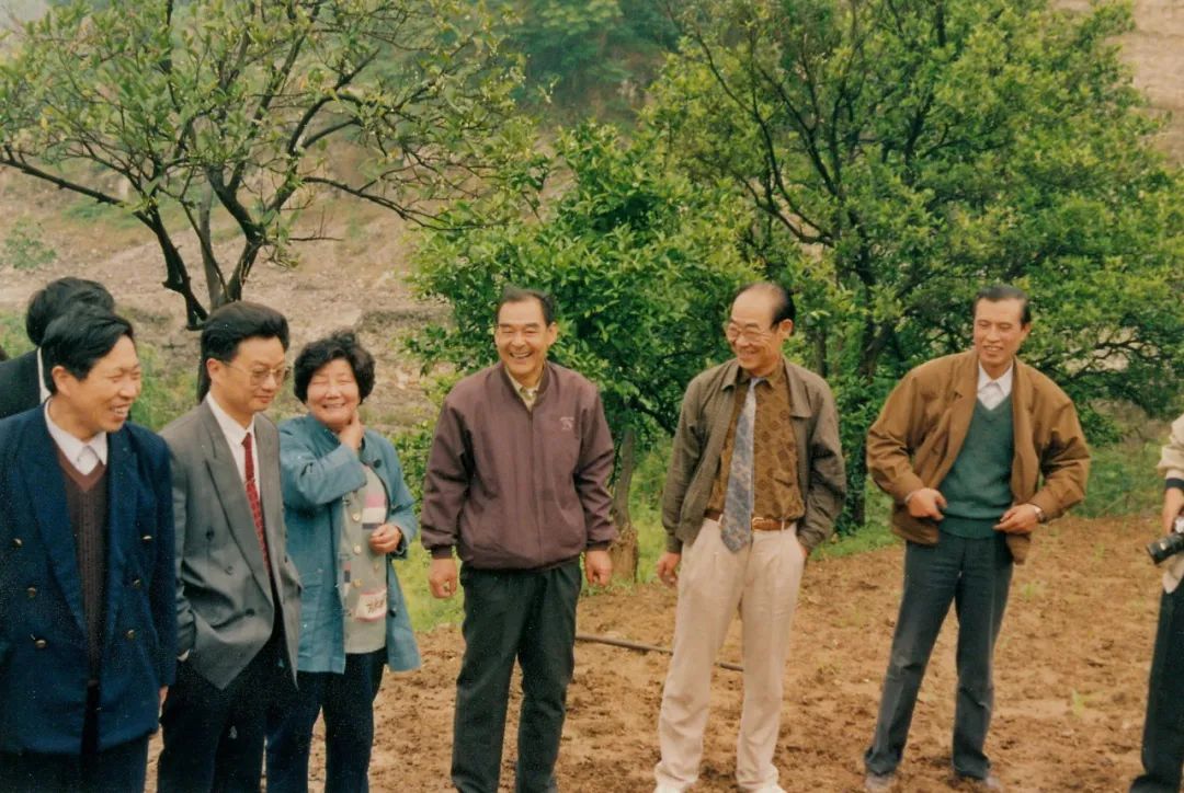 图八 1994年俞伟超率三峡文物保护规划组专家奉节考察