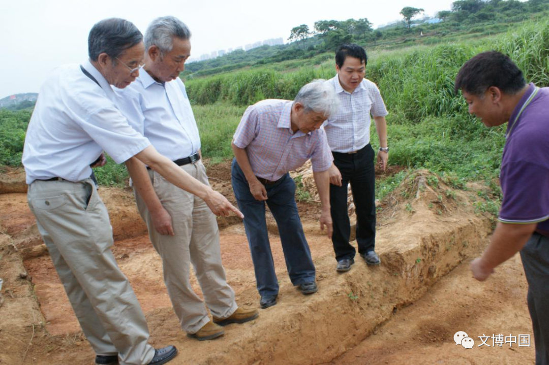 李伯谦、刘绪、胡美洲、方勤、魏航空等专家学者在盘龙城考古工地