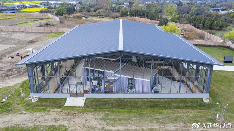 新发现的“祭祀坑”考古现场 新华社 图