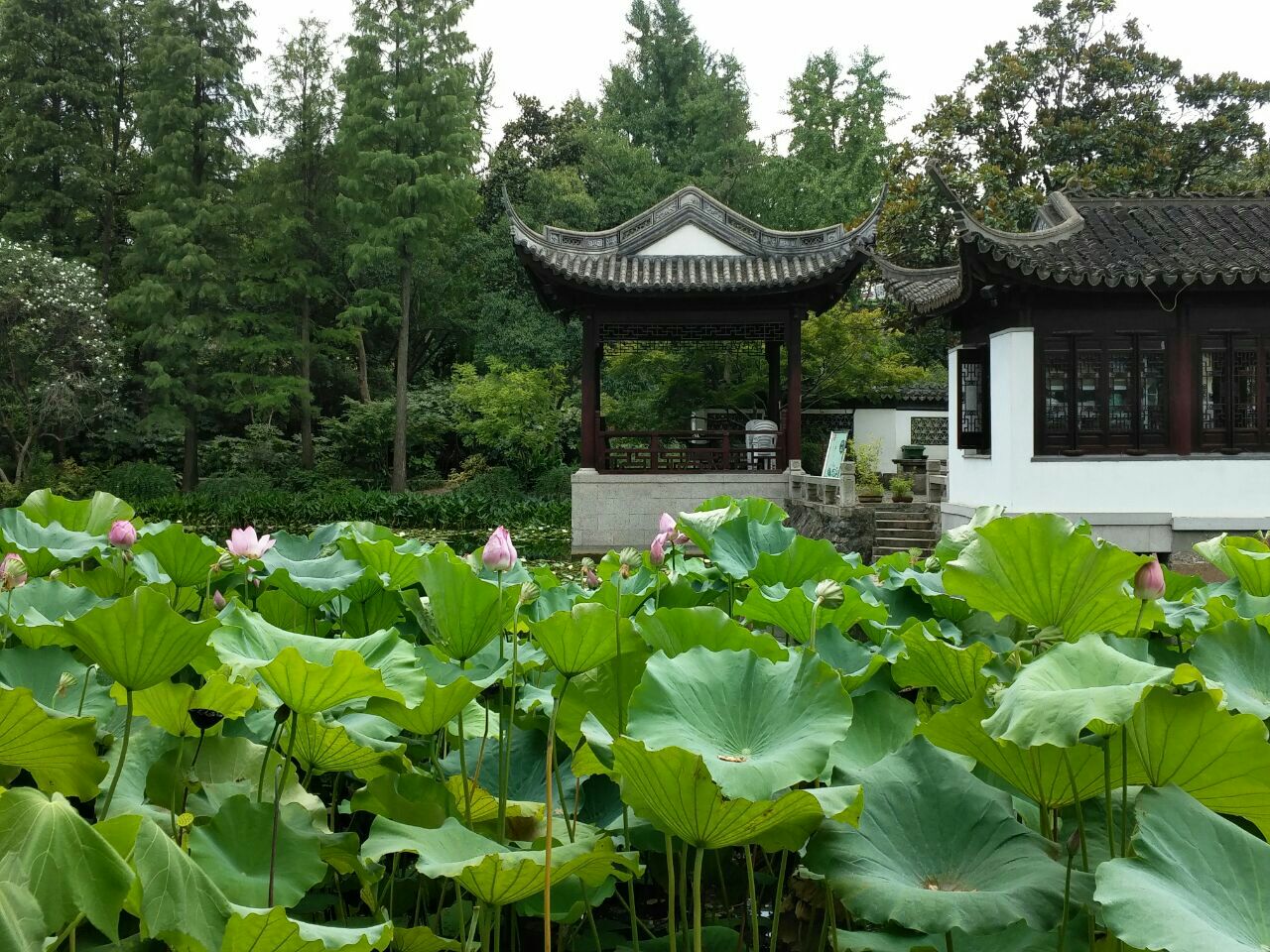 南翔历史文化陈列馆展出的文物