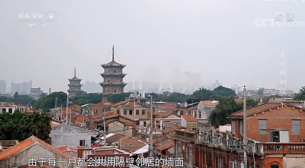 留从效和继任者陈洪进在泉州城内遍栽刺桐树,于是泉州便以“刺桐城”闻名。 视频截图
