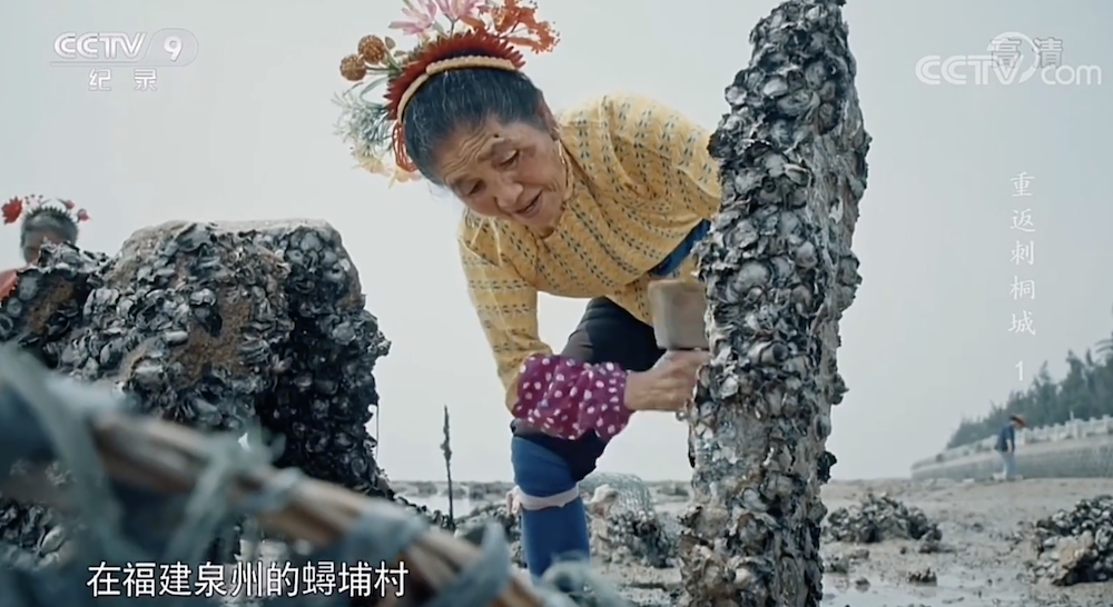 蟳埔村是距泉州市区10公里的一个小渔村,据说这里的村民是古代阿拉伯人后裔。村中女性保留中亚的遗风,喜欢戴簪花圈,插象牙筷,住蚝壳房。蟳埔也是泉州海上丝绸之路起点的重要港口。 视频截图