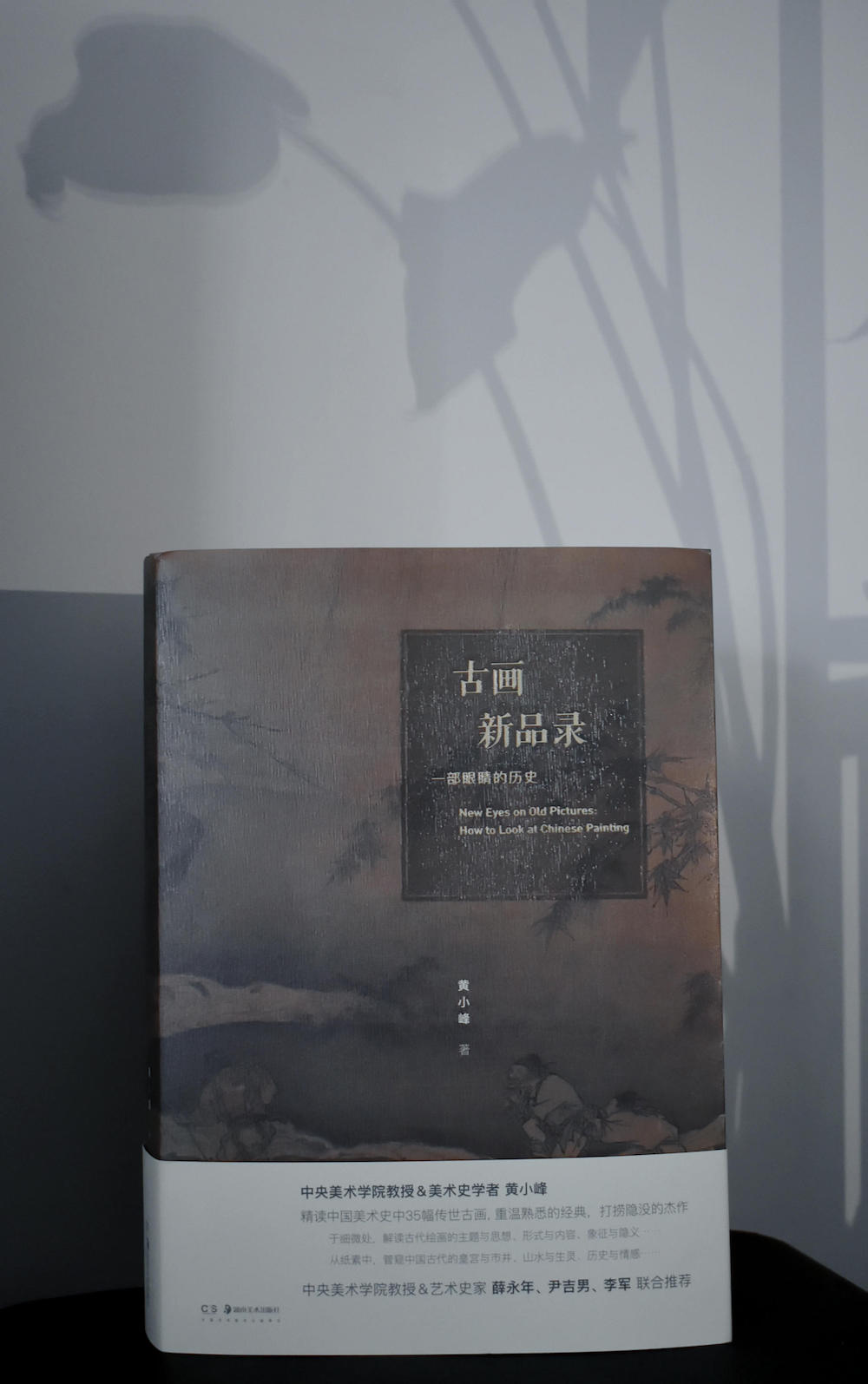 《古画新品录:一部眼睛的历史》