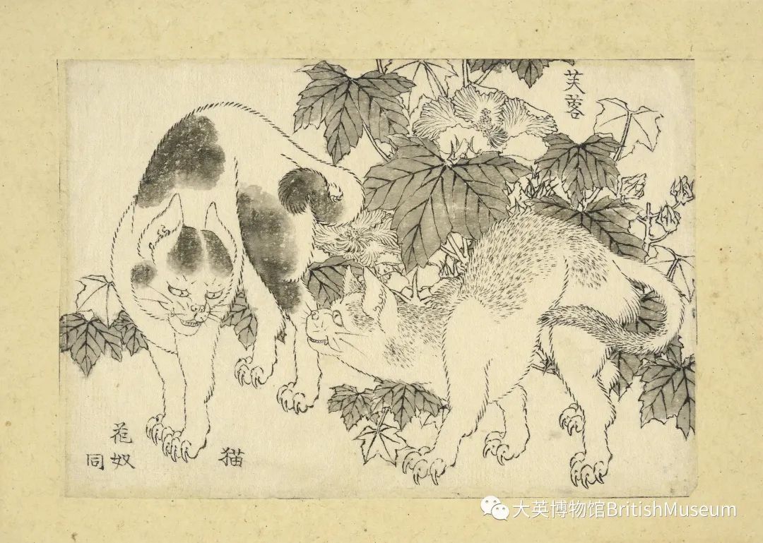 葛饰北斋，《猫与芙蓉花》（出自《万物绘本大全》），纸本墨笔，1820-40年代。作品由为纪念其父母鲁道夫·布赫与茱莉·布赫（Rudolph and Julie Buch）而特别设立的特雷莎·格尔达·布赫遗产基金（Theresia Gerda Buch Bequest）和英国艺术基金会（Art Fund）赞助购藏