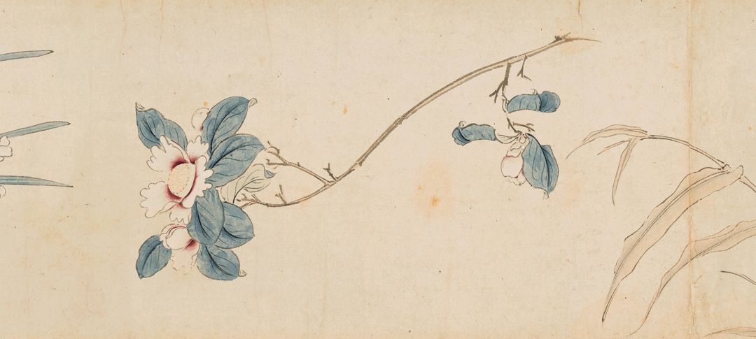 明 马守真 《设色花卉卷(局部)》,潘达于 1956年捐赠
